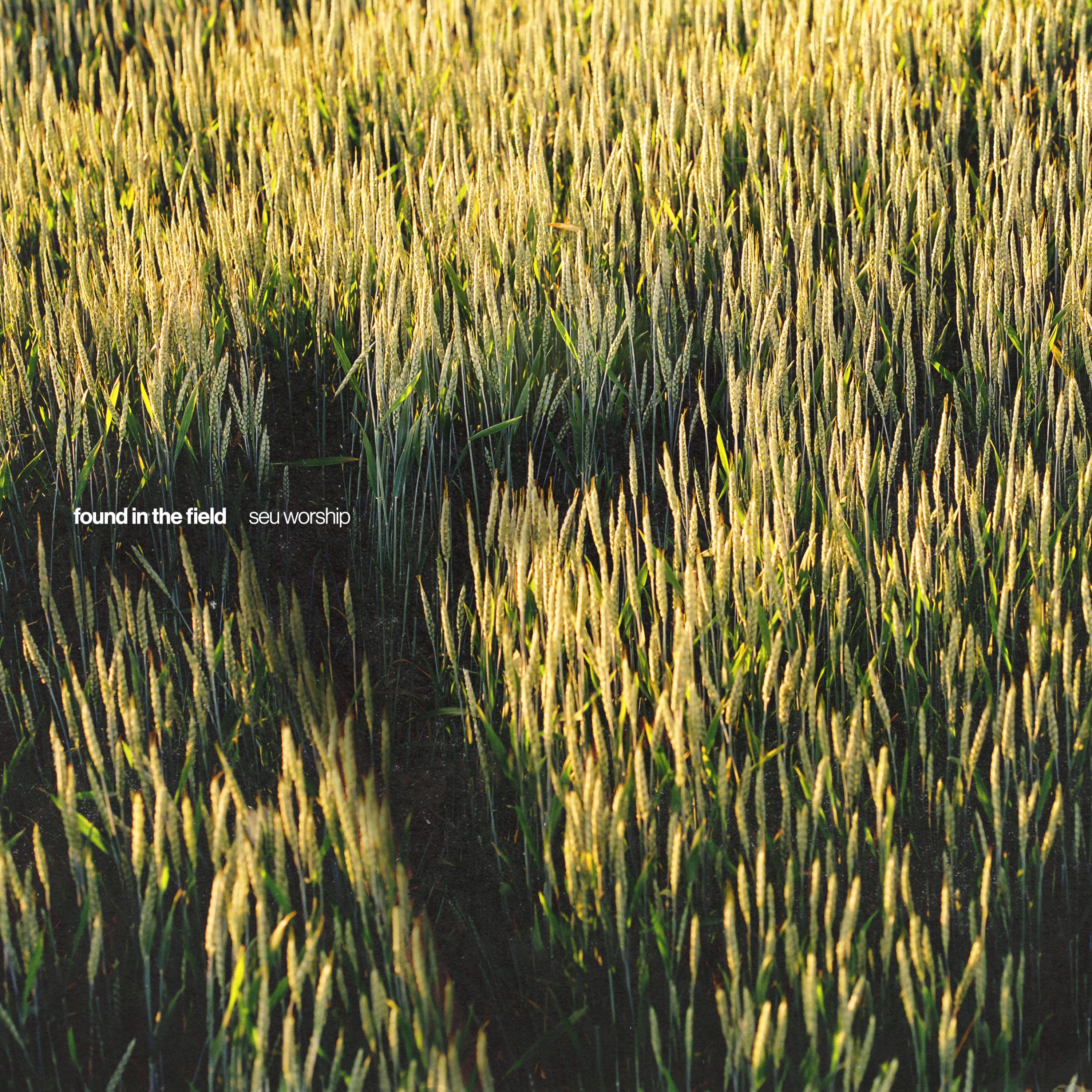 Found in the Field (Live) album cover