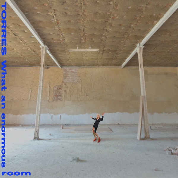 What an enormous room album cover