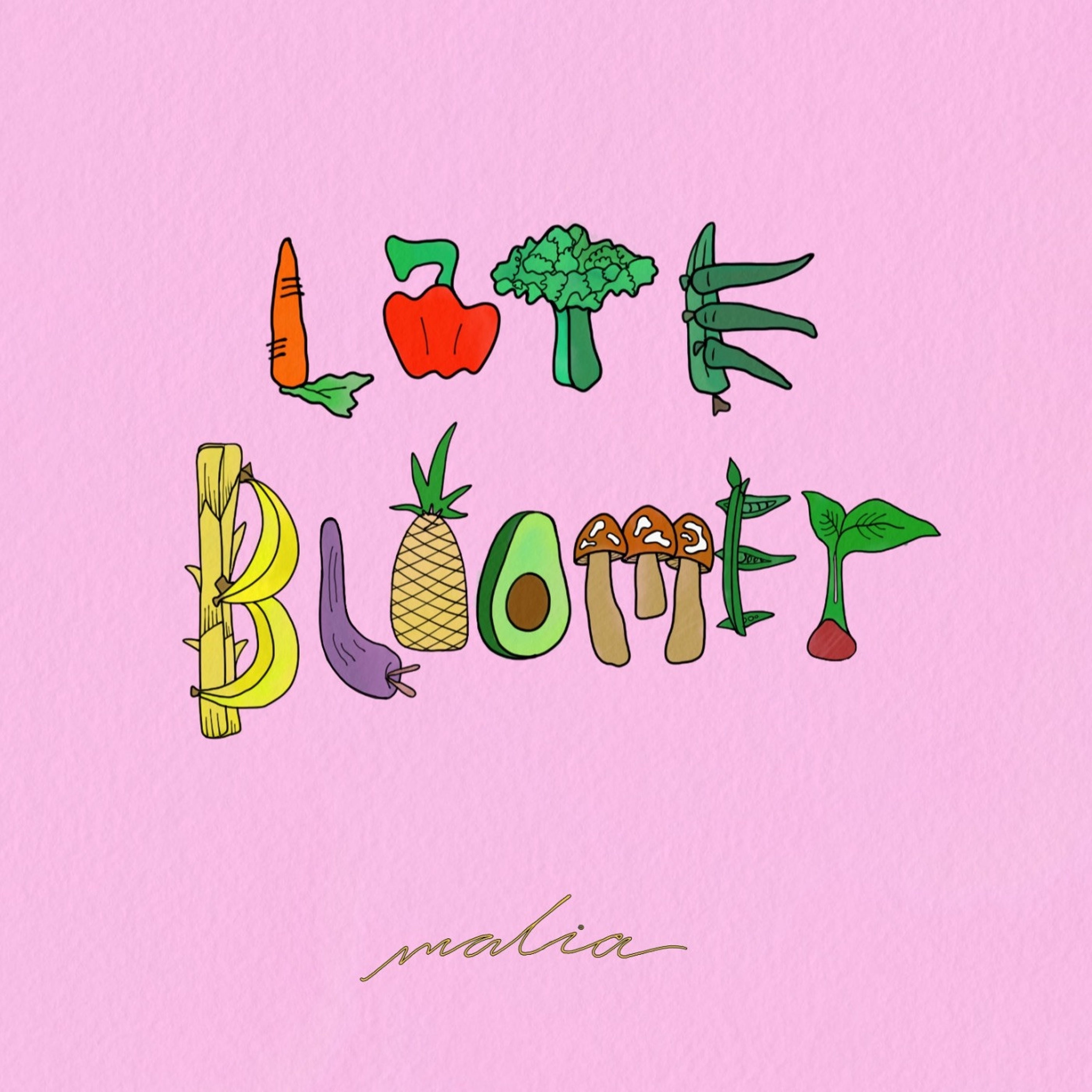 Late Bloomer album cover