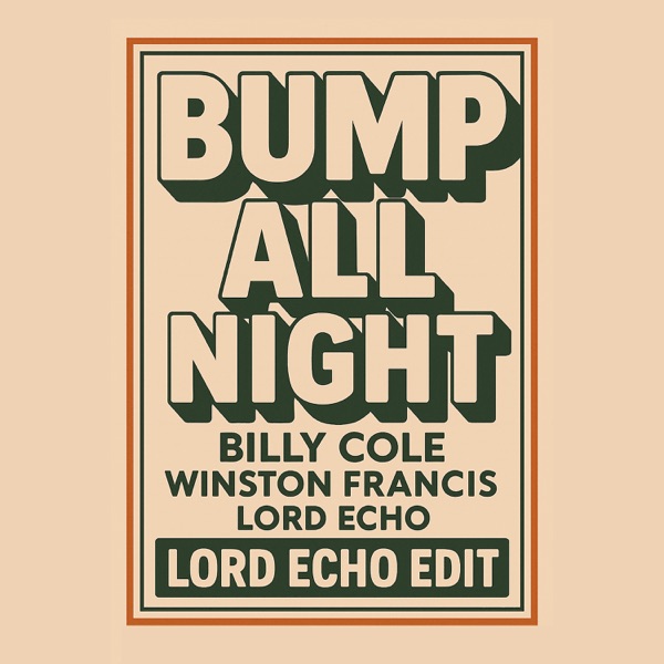 BUMP ALL NIGHT (Lord Echo Edit) - Single album cover