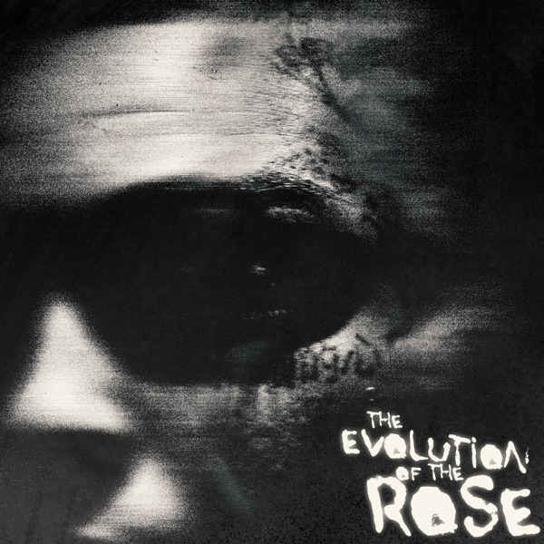 The Evolution of the Rose album cover