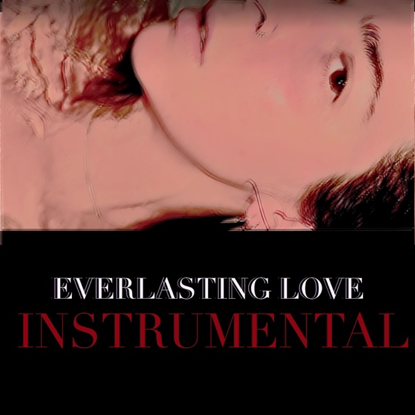 Everlasting Love (Instrumental) - Single album cover