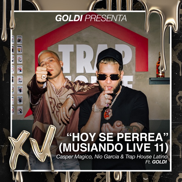 Hoy Se Perrea (Musiando Live 11) [feat. Goldi] - Single album cover