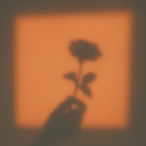 DEFENSELESS - Single album cover