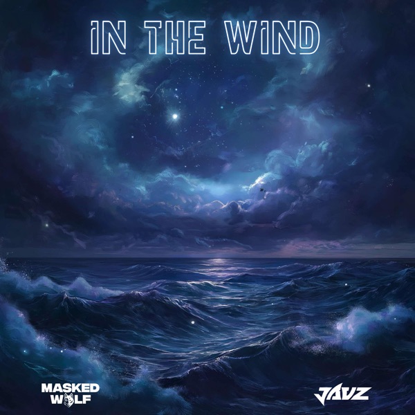 In the Wind - Single album cover