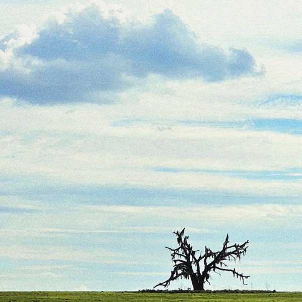 The Sun Is Racing, My Mind Is Racing. album cover