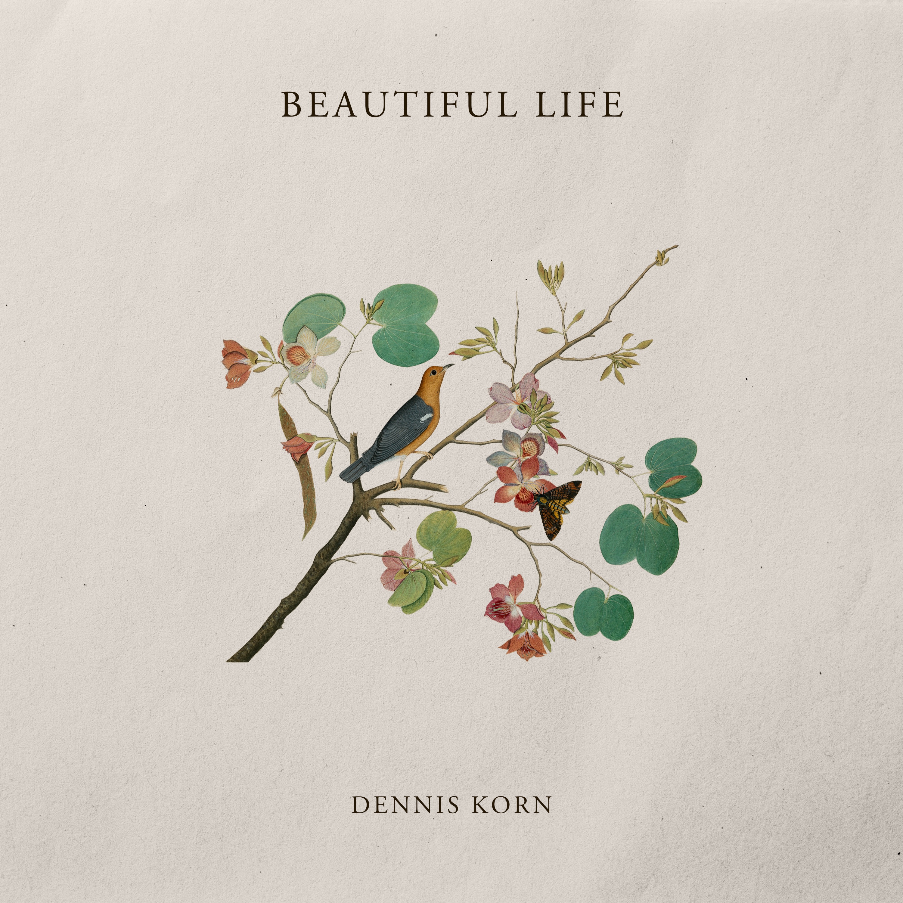 Beautiful Life - Single album cover