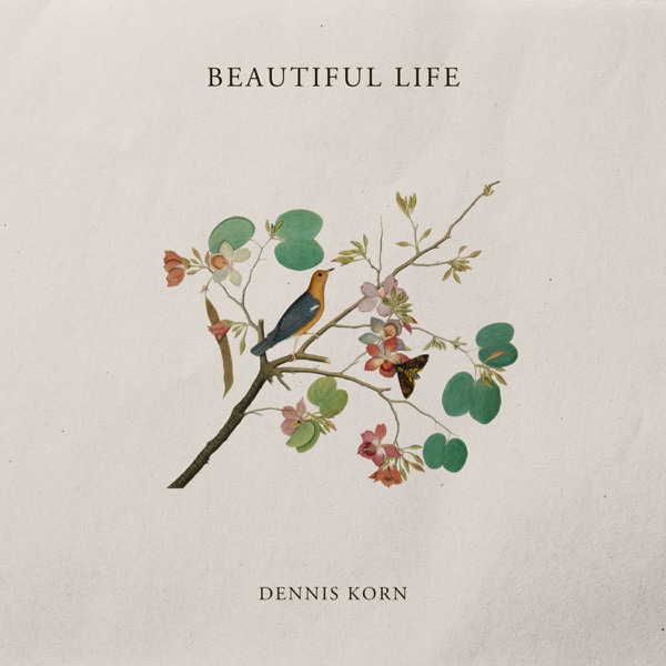Beautiful Life - Single album cover
