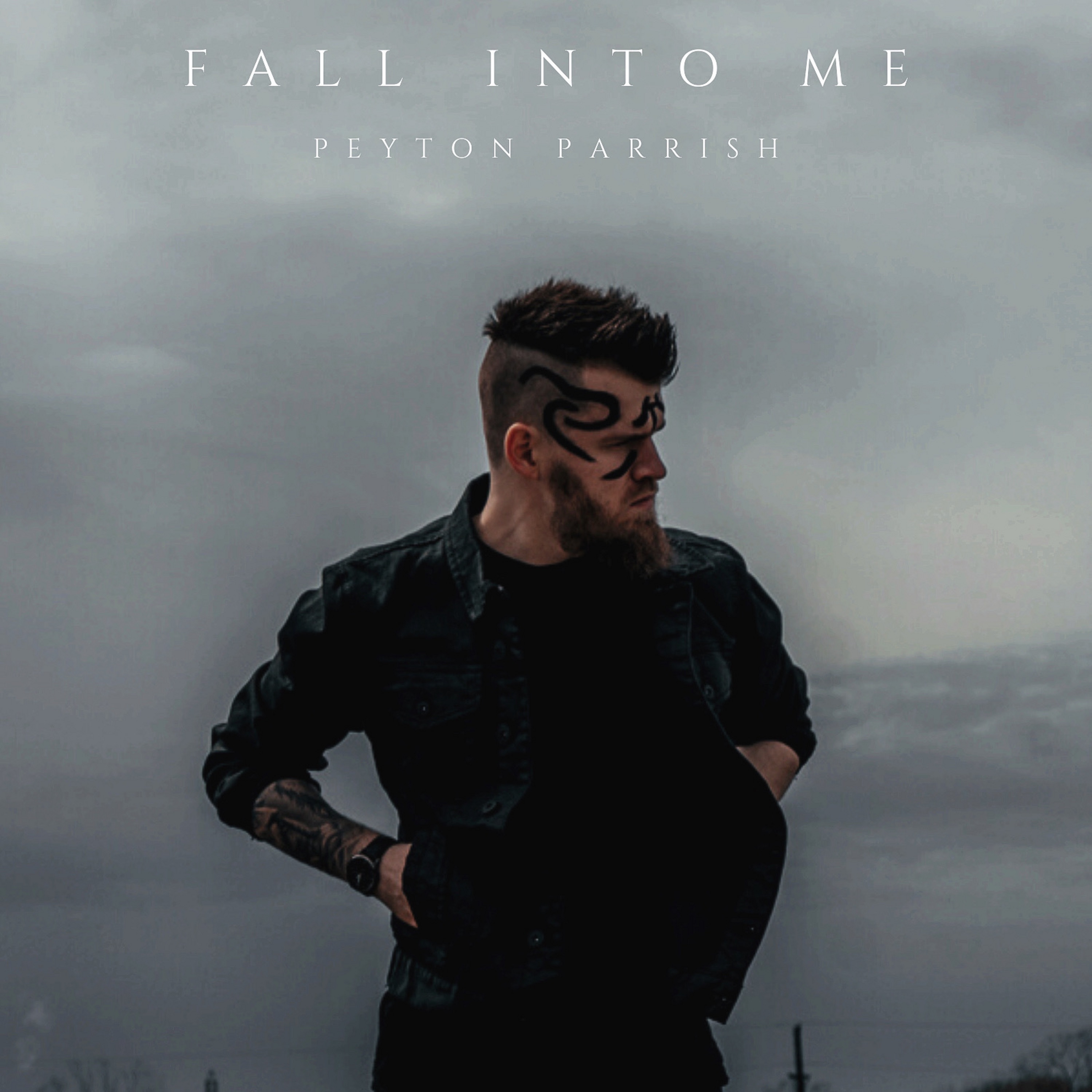 Fall into Me - Single album cover