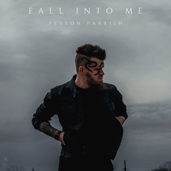 Fall into Me - Single album cover