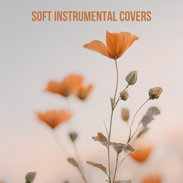 Soft Instrumental Covers album cover