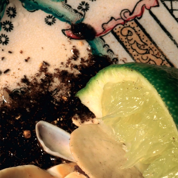 Plays Bee Mask album cover