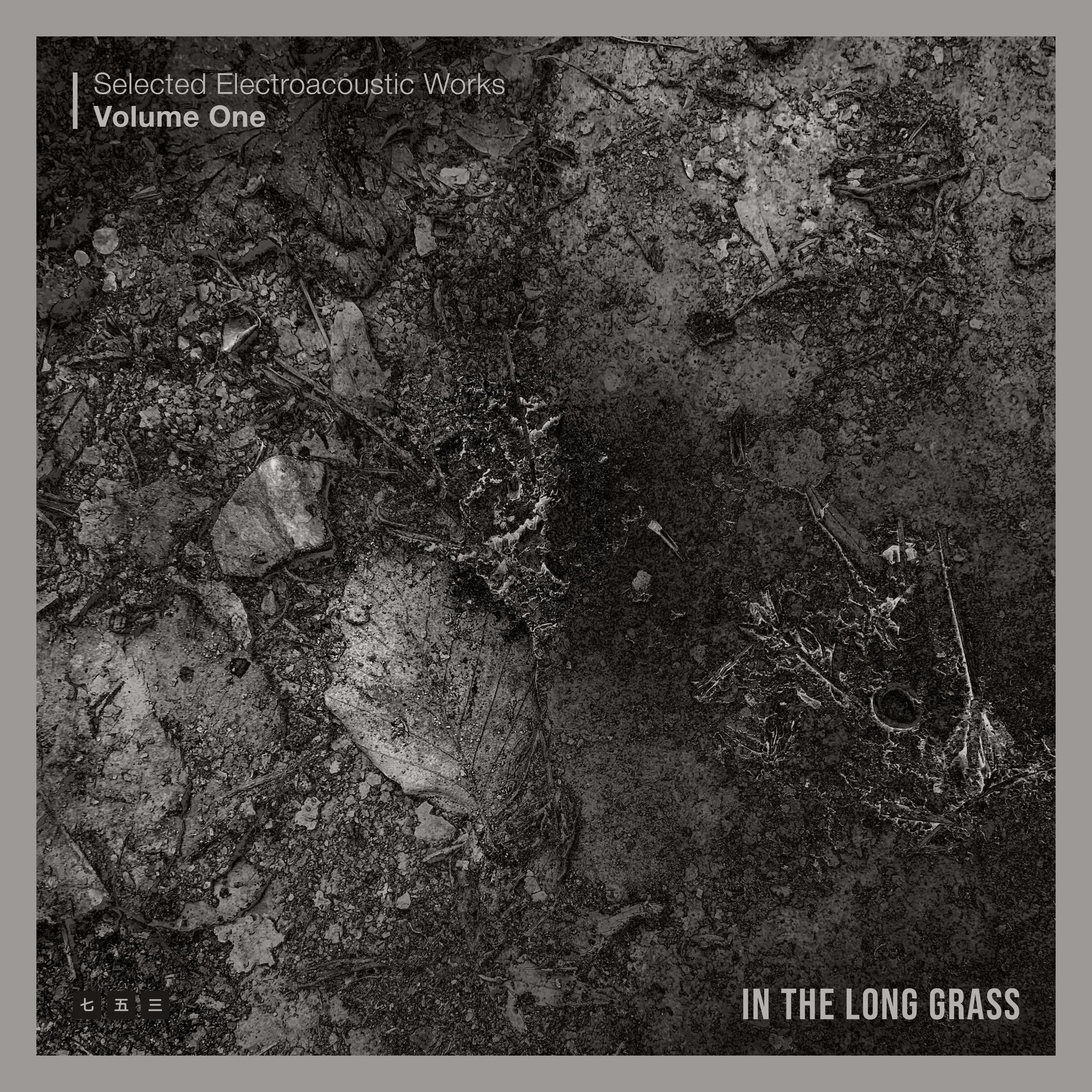 In The Long Grass - Single album cover