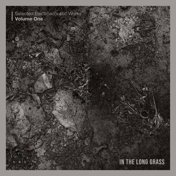 In The Long Grass - Single album cover