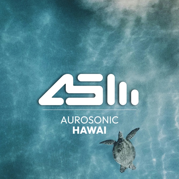 Hawai (2006 Mix) - Single album cover