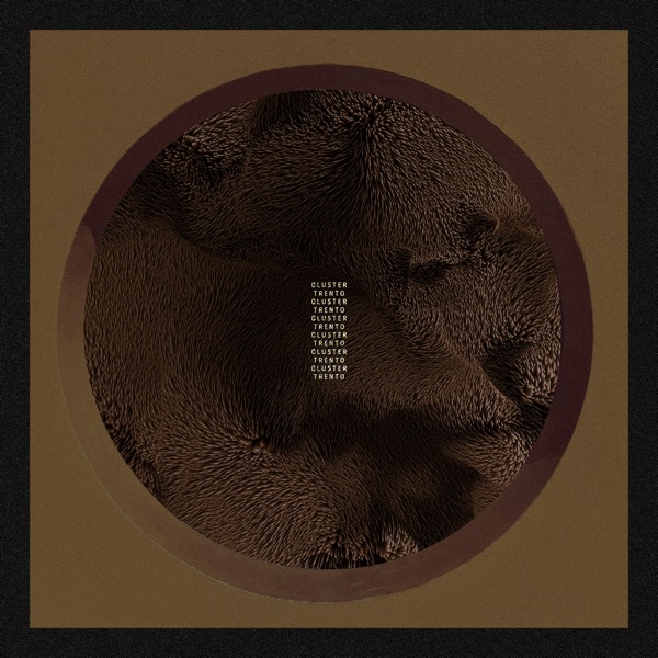 Trento - Single album cover