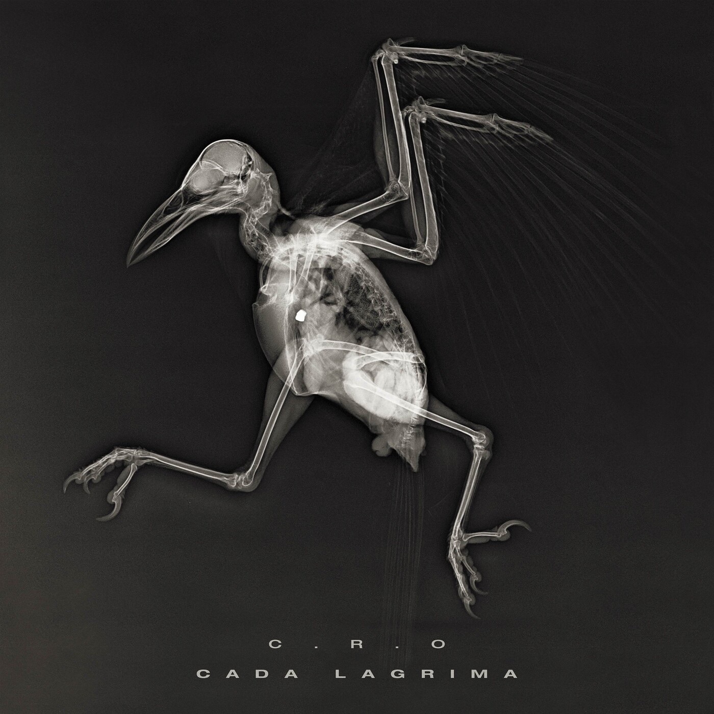 Cada Lágrima - Single album cover