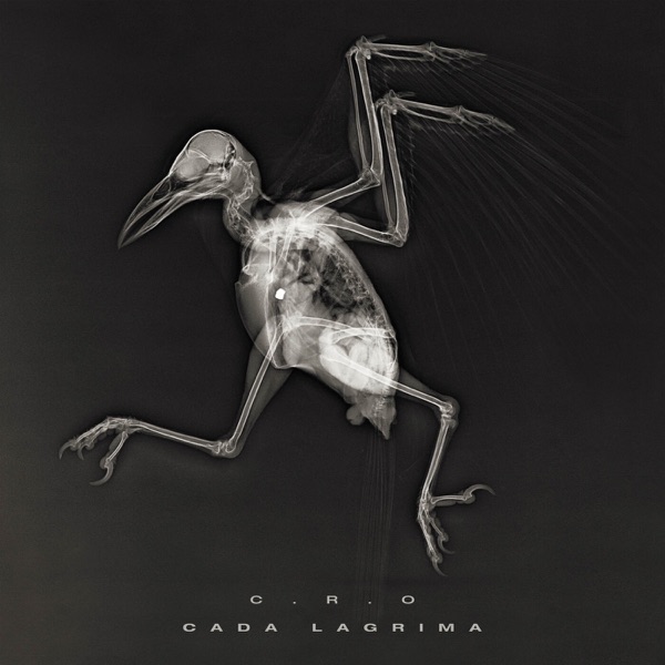 Cada Lágrima - Single album cover