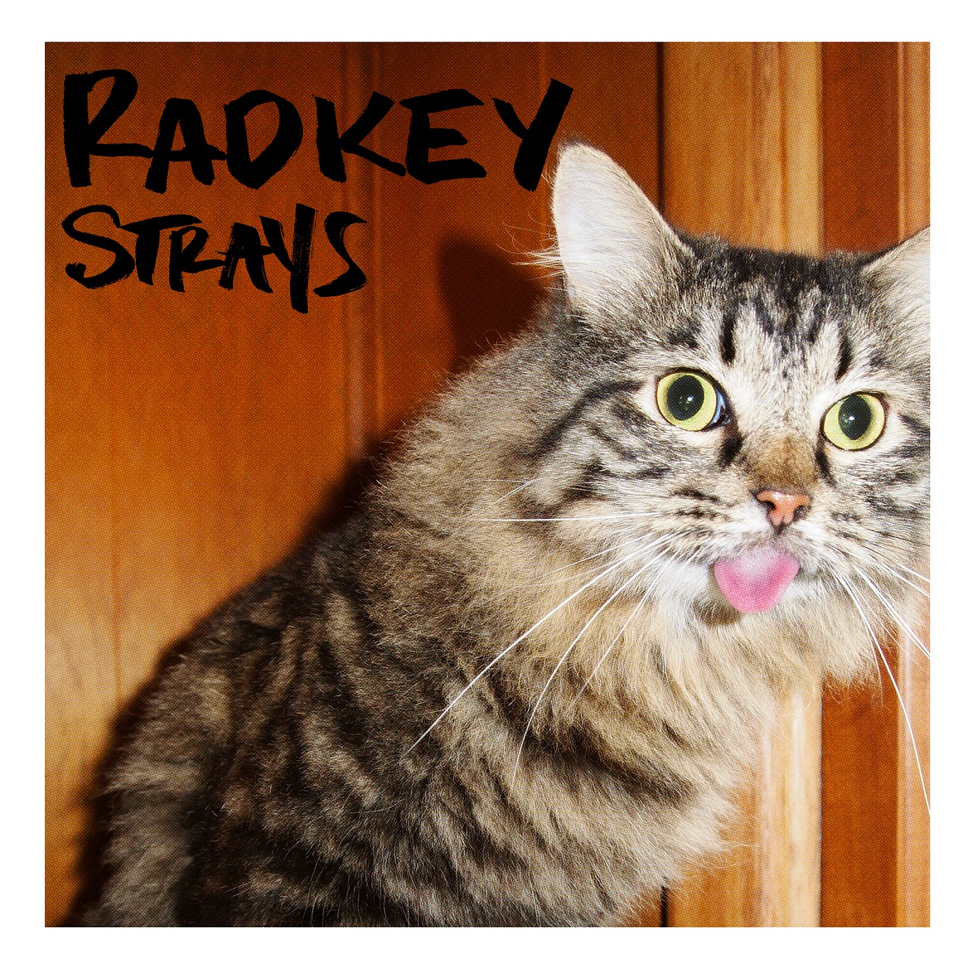 Strays - Single album cover