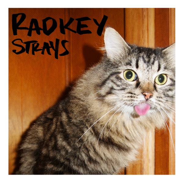 Strays - Single album cover