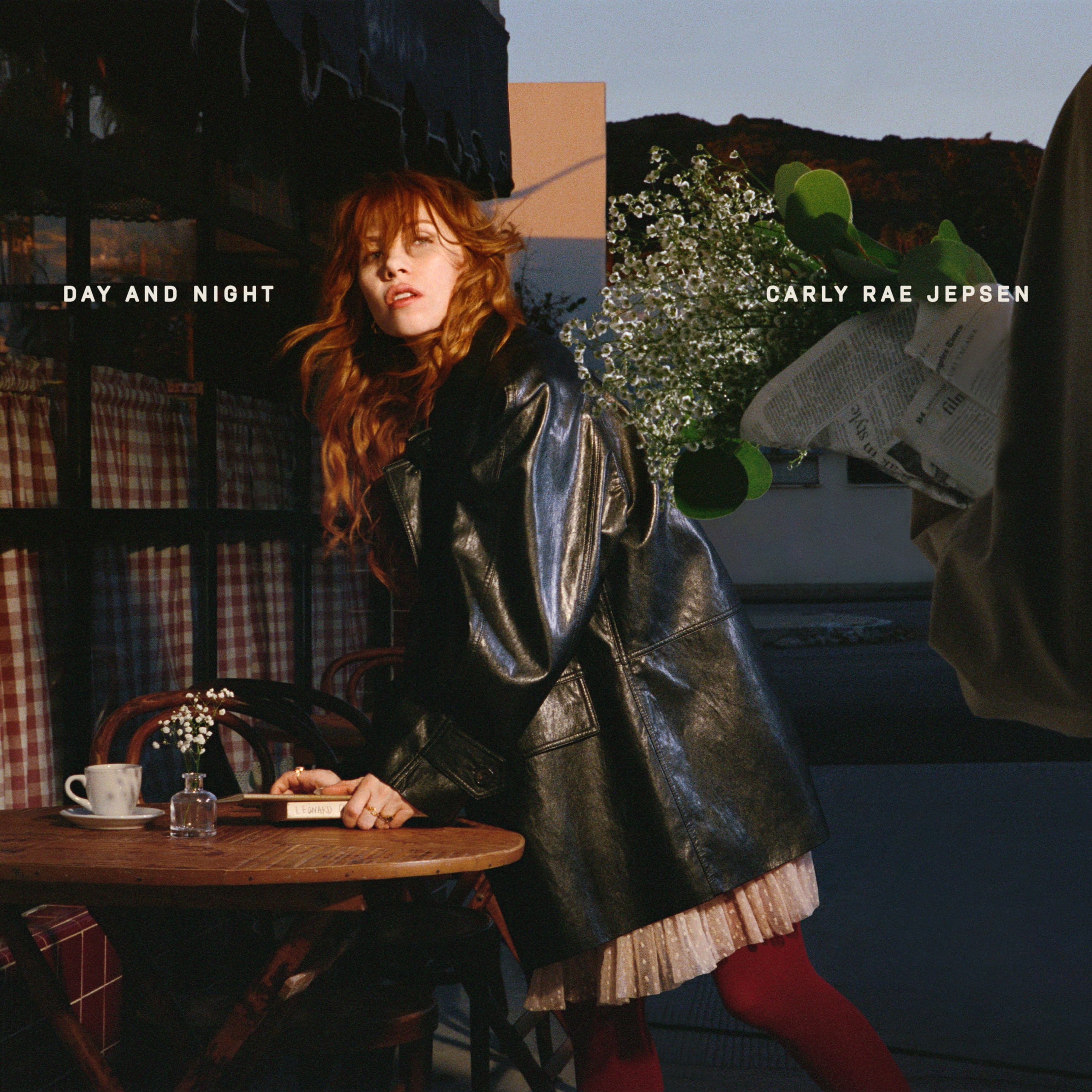 Day and Night album cover