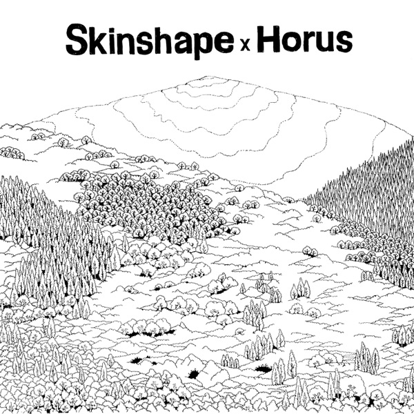 Skinshape X Horus album cover