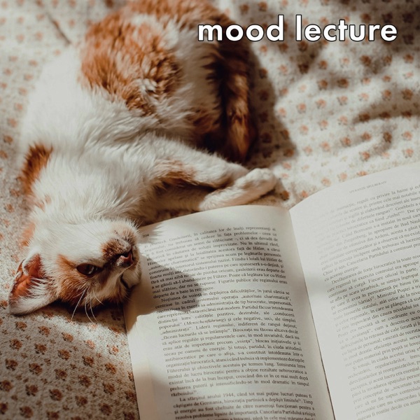 mood lecture album cover