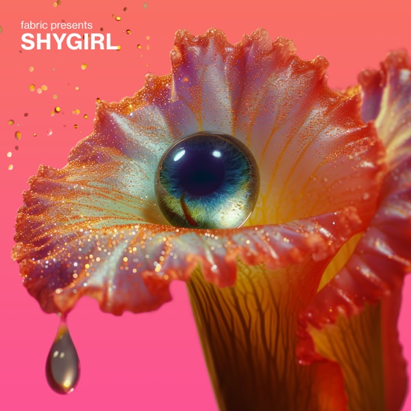 fabric presents Shygirl (DJ Mix) album cover
