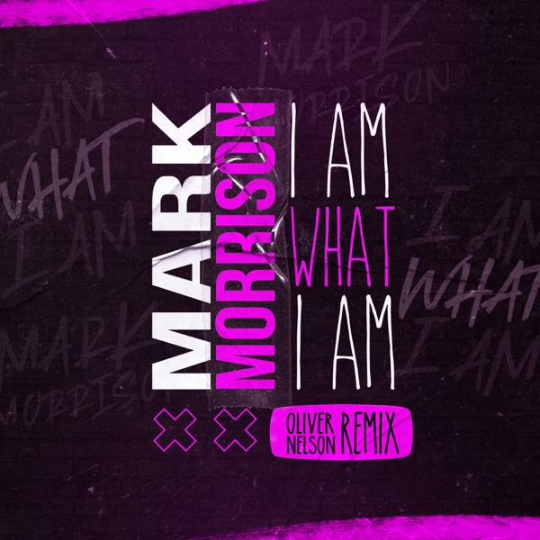 I Am What I Am (Oliver Nelson Remix) - Single album cover