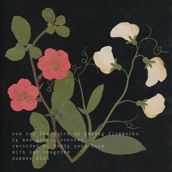 sue and buz catch up during fireworks - Single album cover