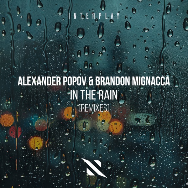 In the Rain (Remixes) - Single album cover