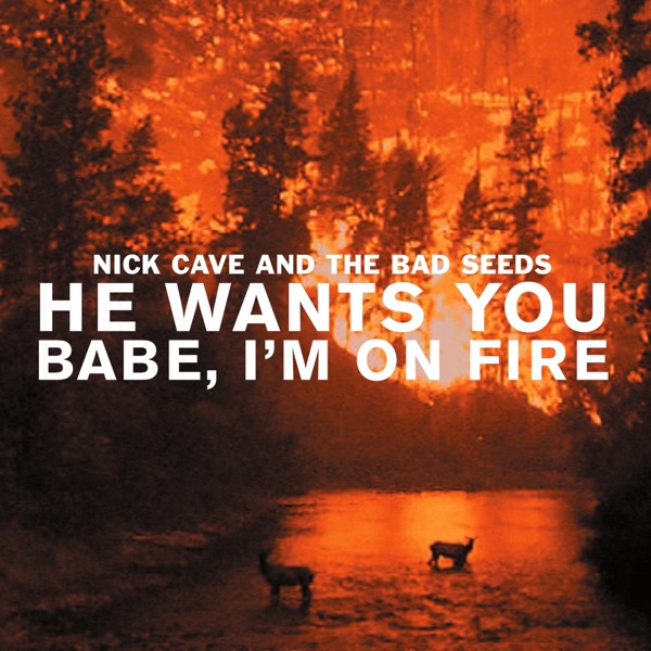 He Wants You / Babe, I'm on Fire - EP album cover