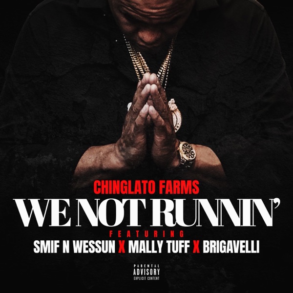 We Not Runnin' (feat. Brigavelli, Mally Tuff & Smif N Wessun) - Single album cover