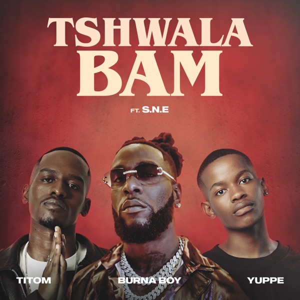 Tshwala Bam (feat. S.N.E) [Remix] - Single album cover