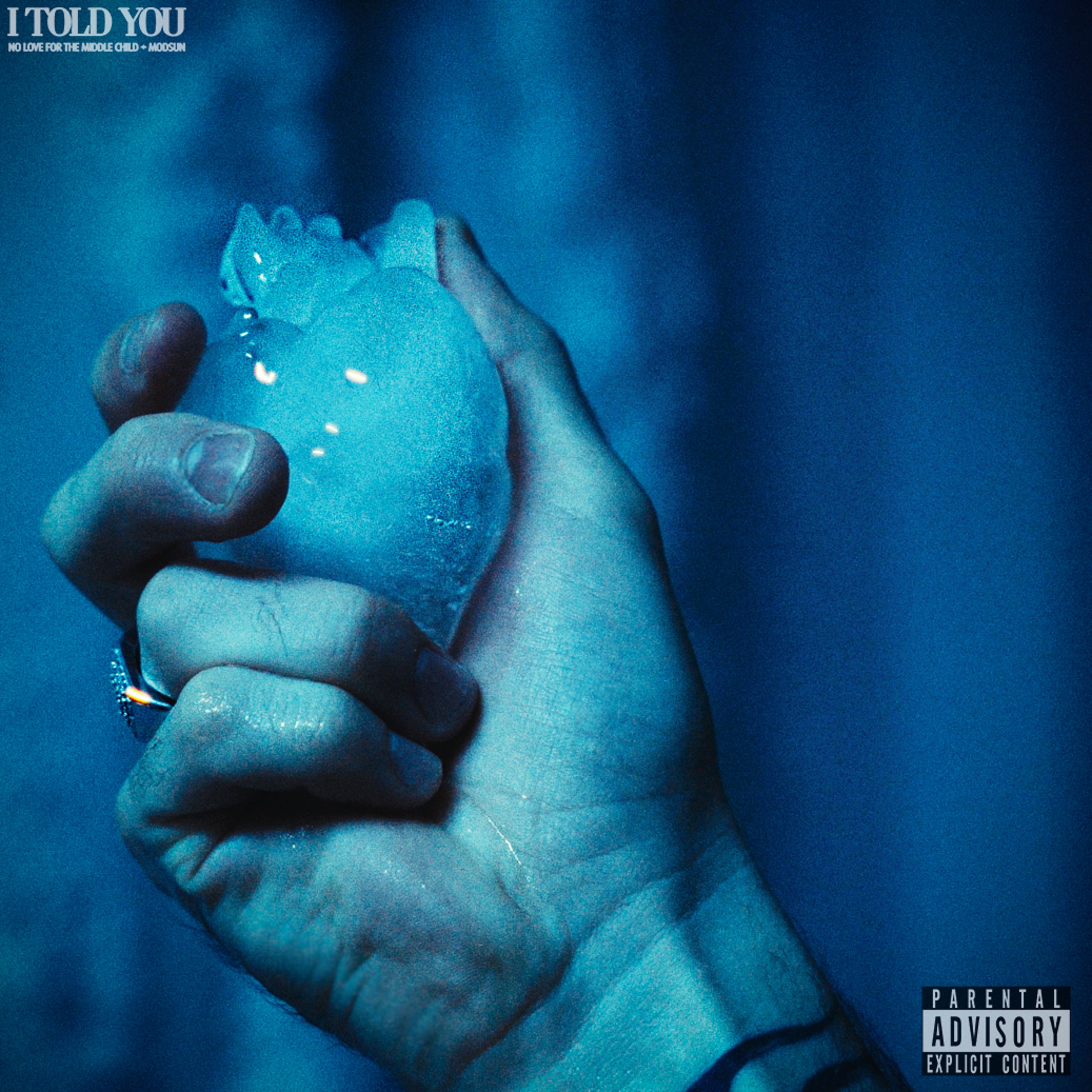 I Told You - Single album cover