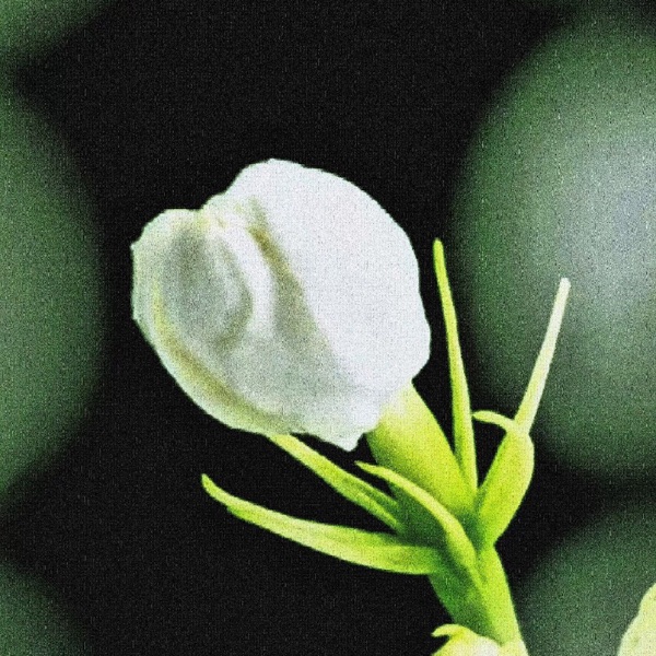 Something special - Single album cover