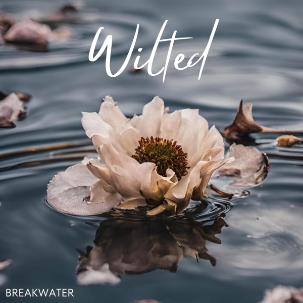 Wilted - Single album cover