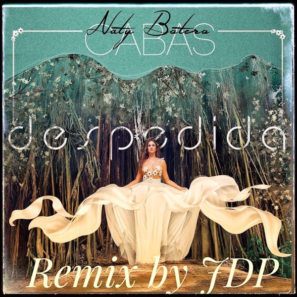 Despedida (Remix) - Single album cover