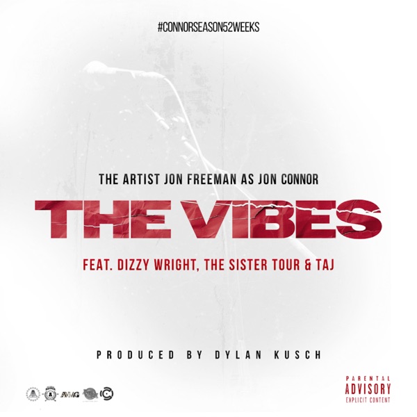 The Vibes (feat. Taj & The Sister Tour) - Single album cover
