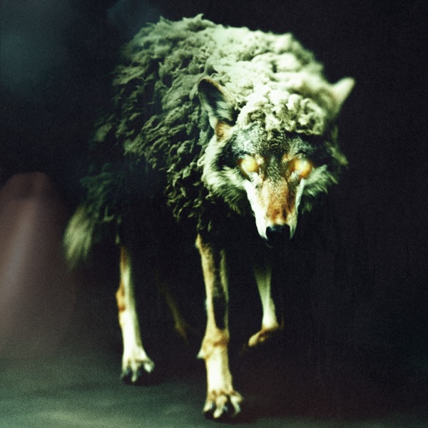 Wolf In Sheep's Clothing [REBORN] - Single album cover