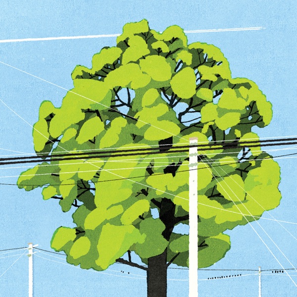 Southwood - Single album cover