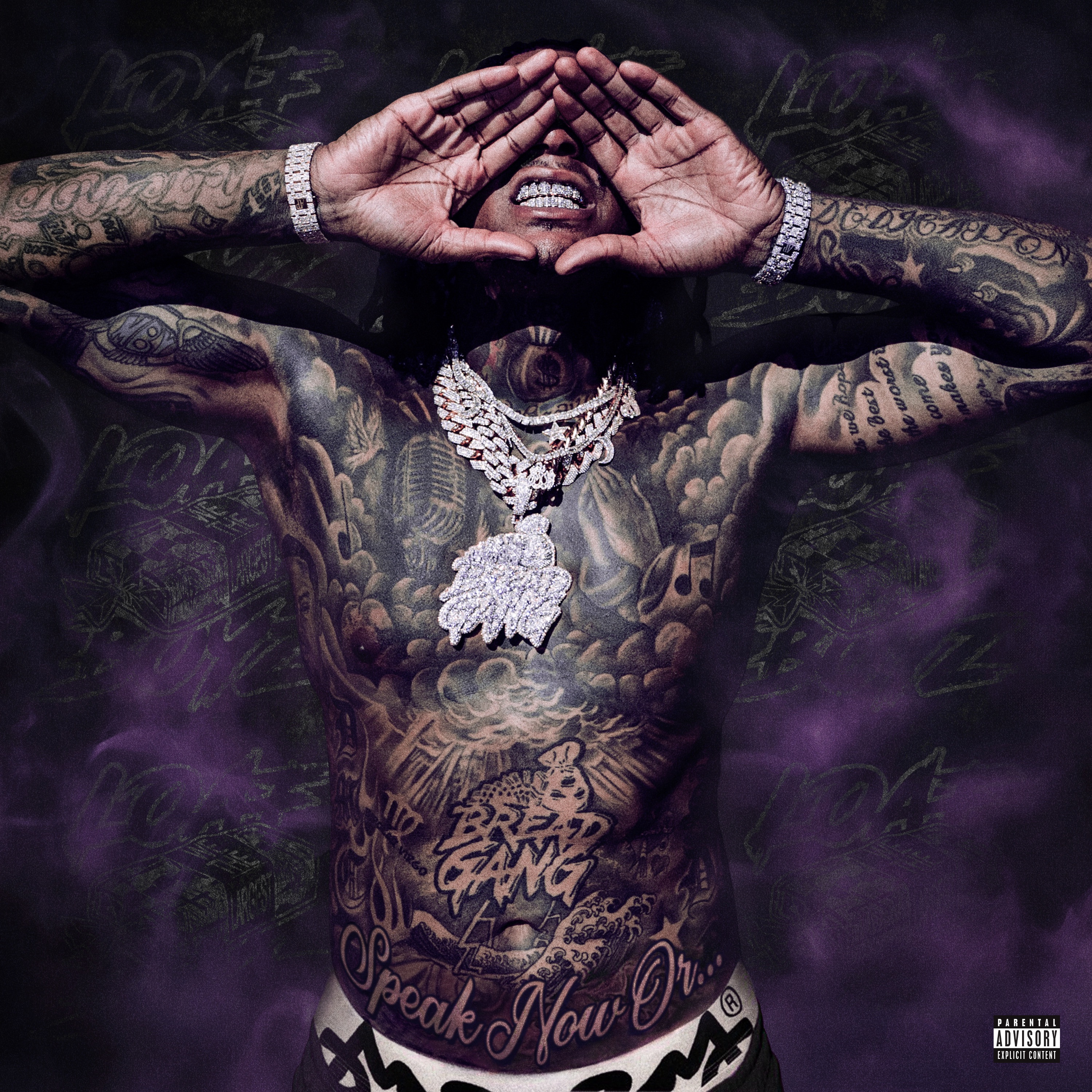 SPEAK NOW OR... album cover