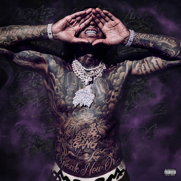 SPEAK NOW OR... album cover