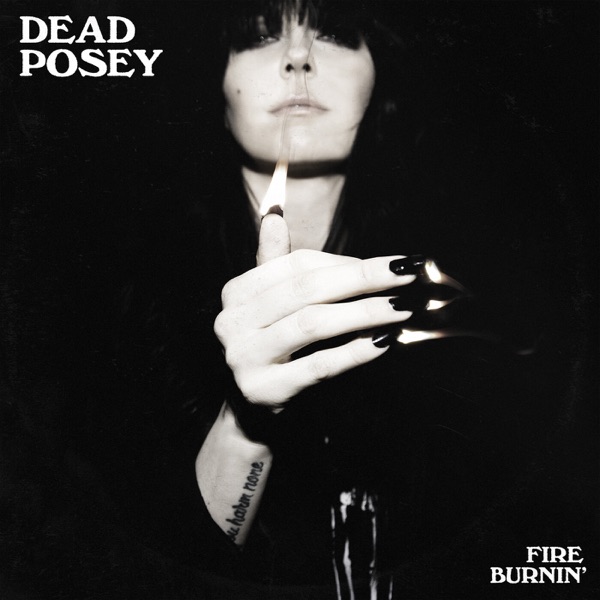 Fire Burnin' - Single album cover