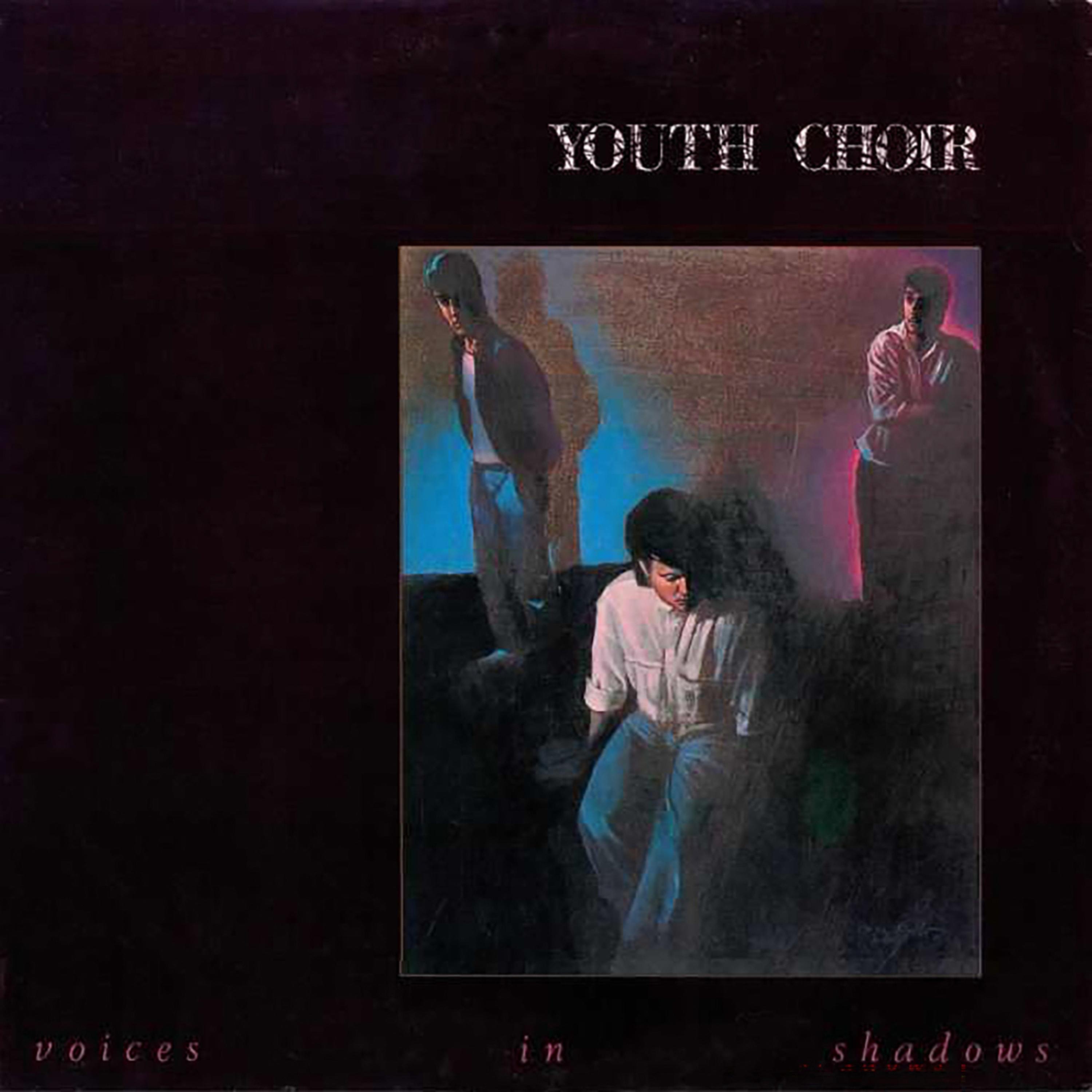 Voices In Shadows (Deluxe Edition) album cover