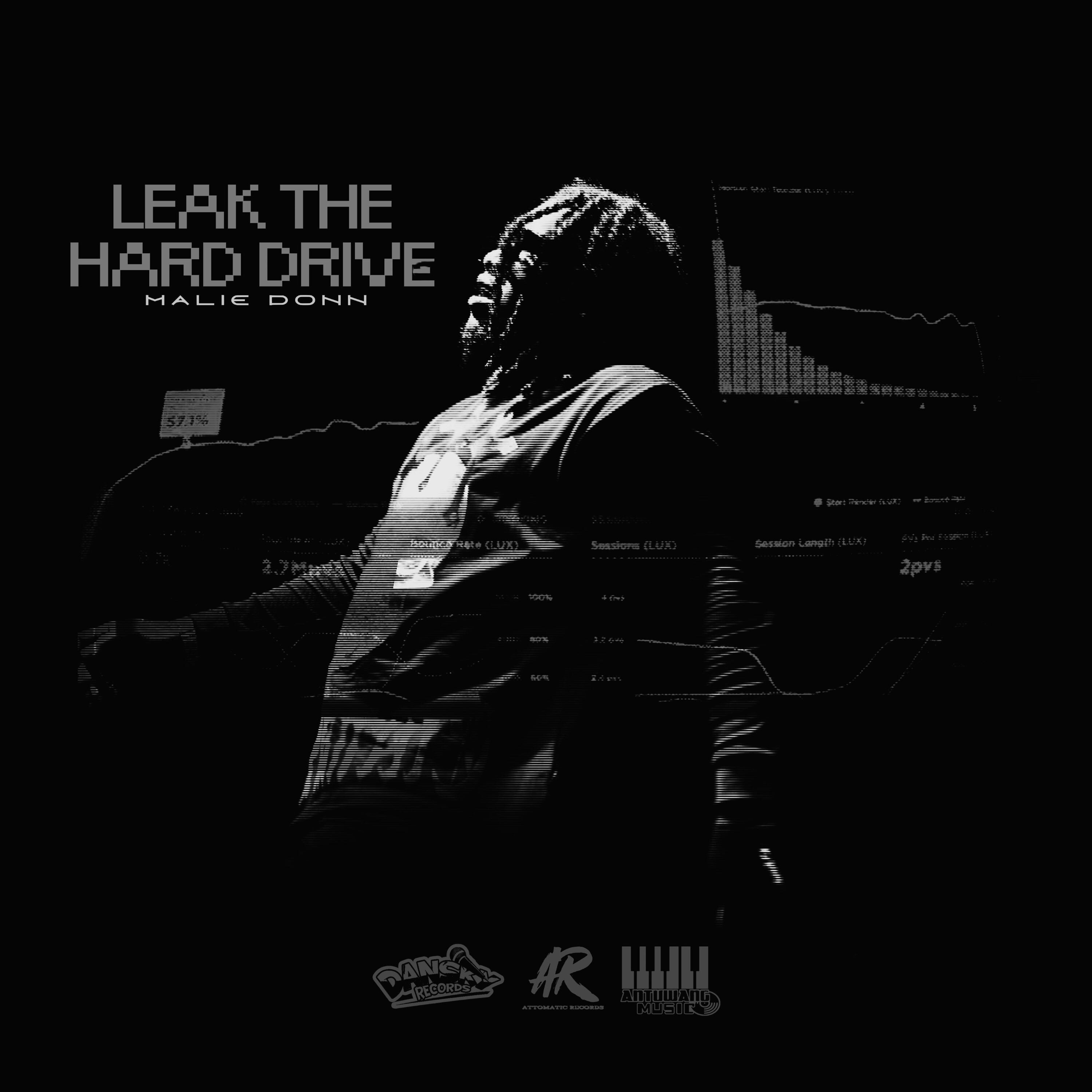 Leak The Hard Drive album cover