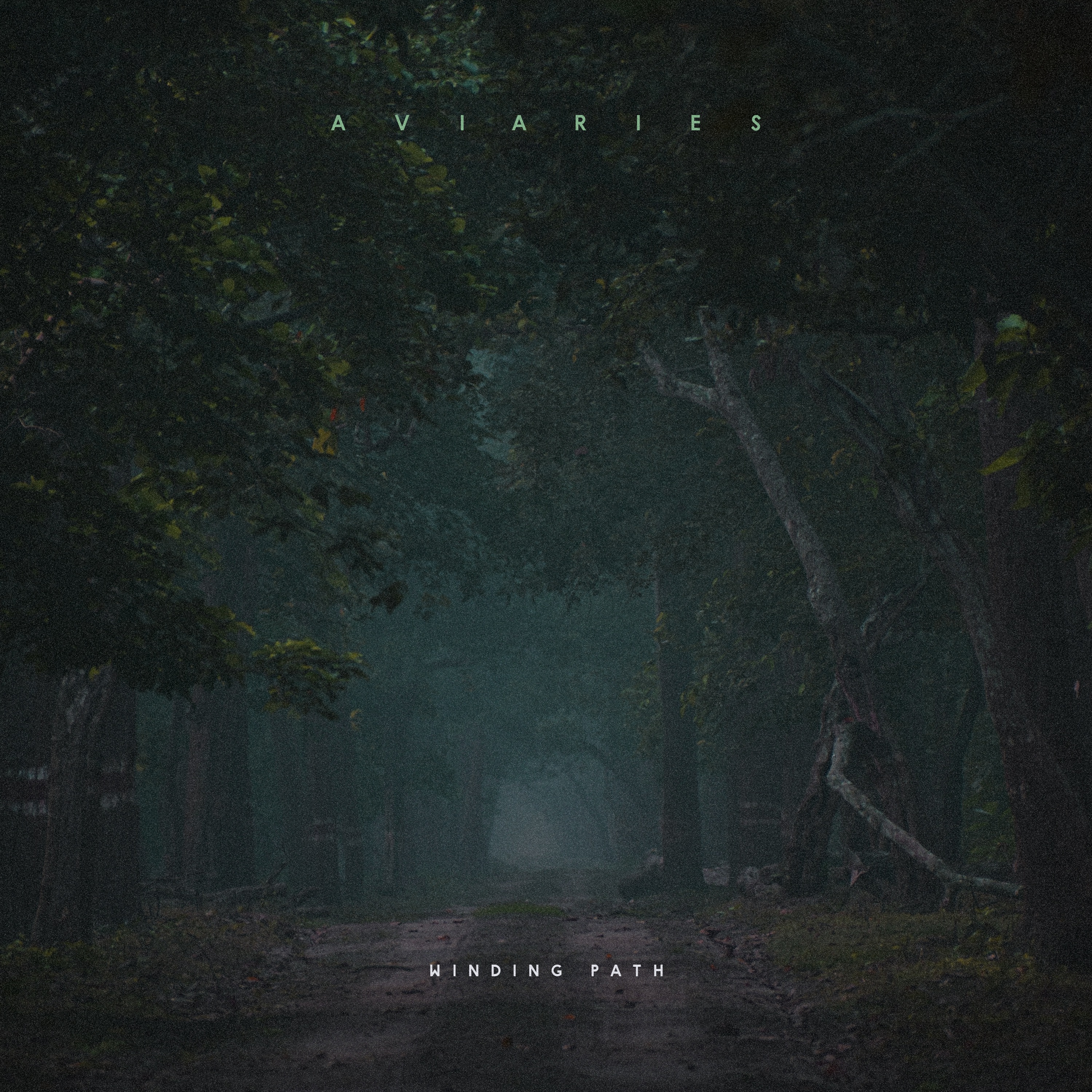 Winding Path - Single album cover