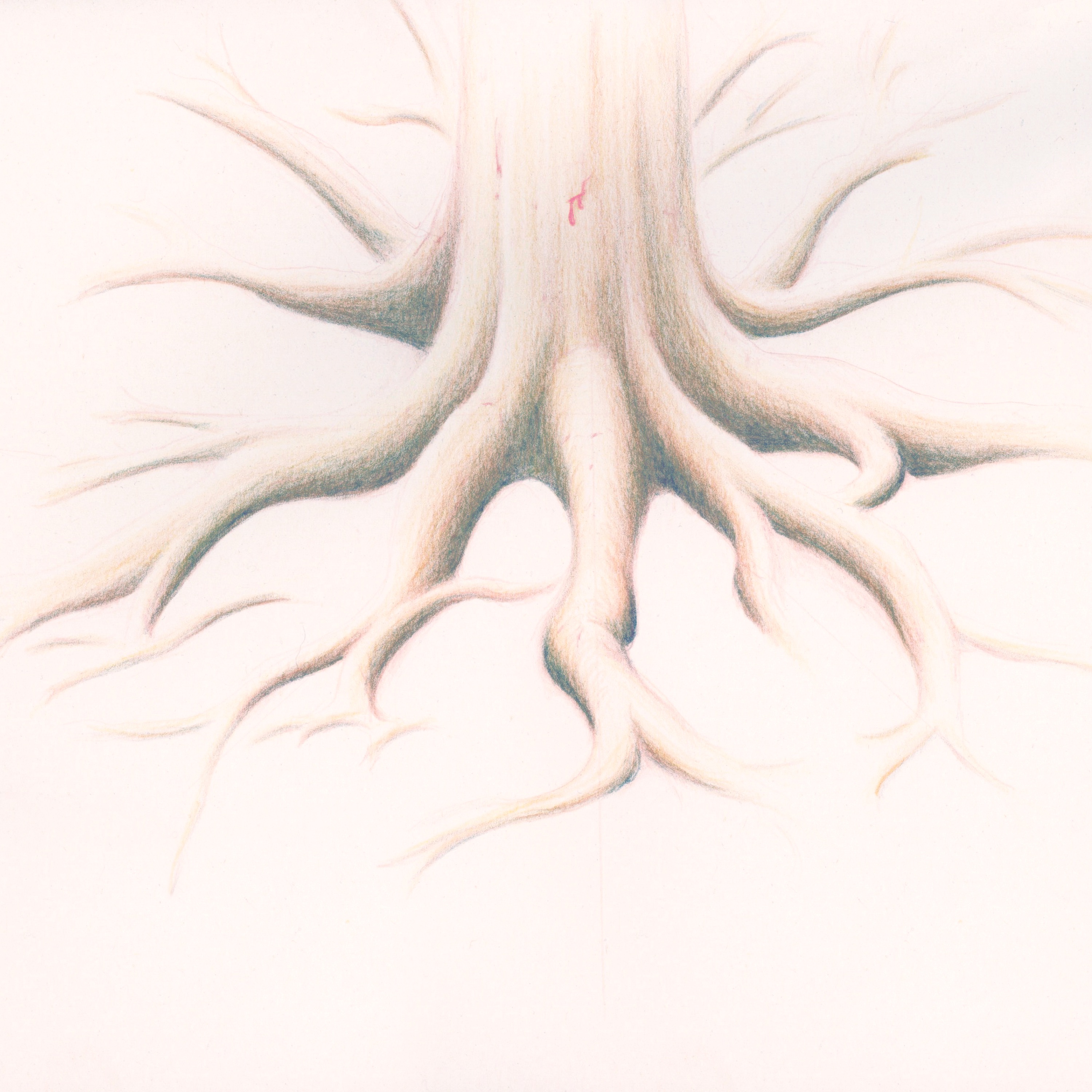 Organs (feat. ML Buch) - Single album cover