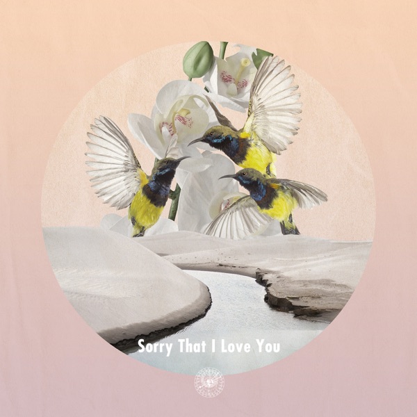 Sorry That I Love You - Single album cover