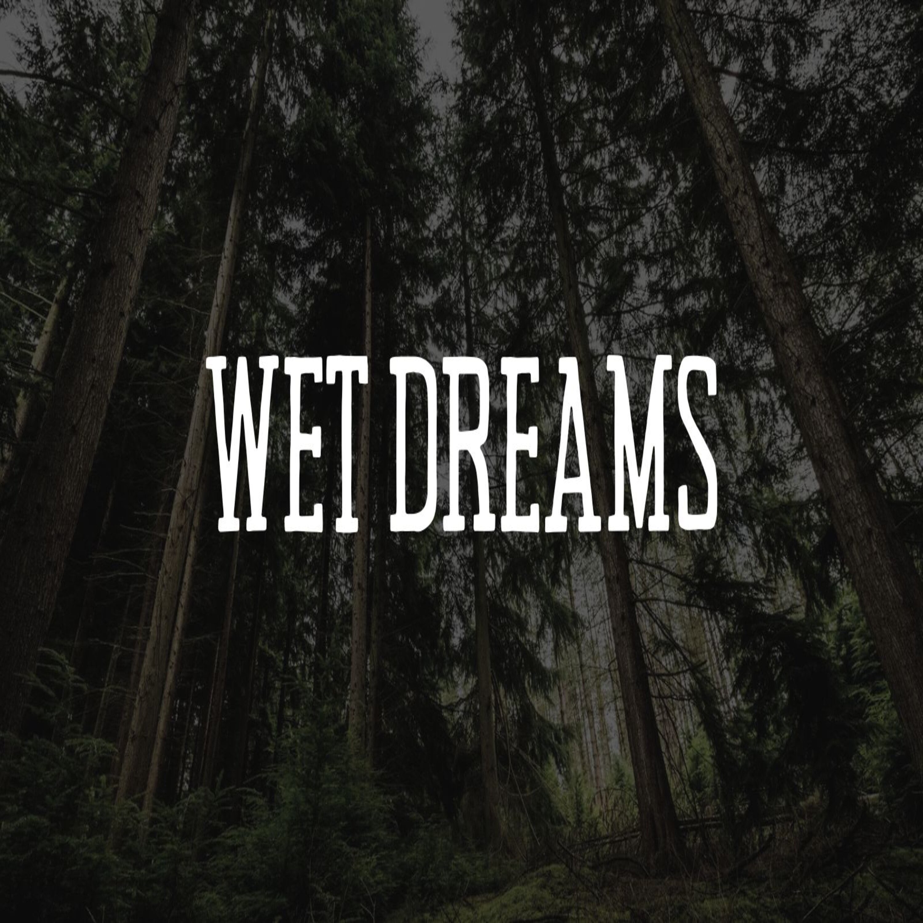 Wet Dreams - Single album cover